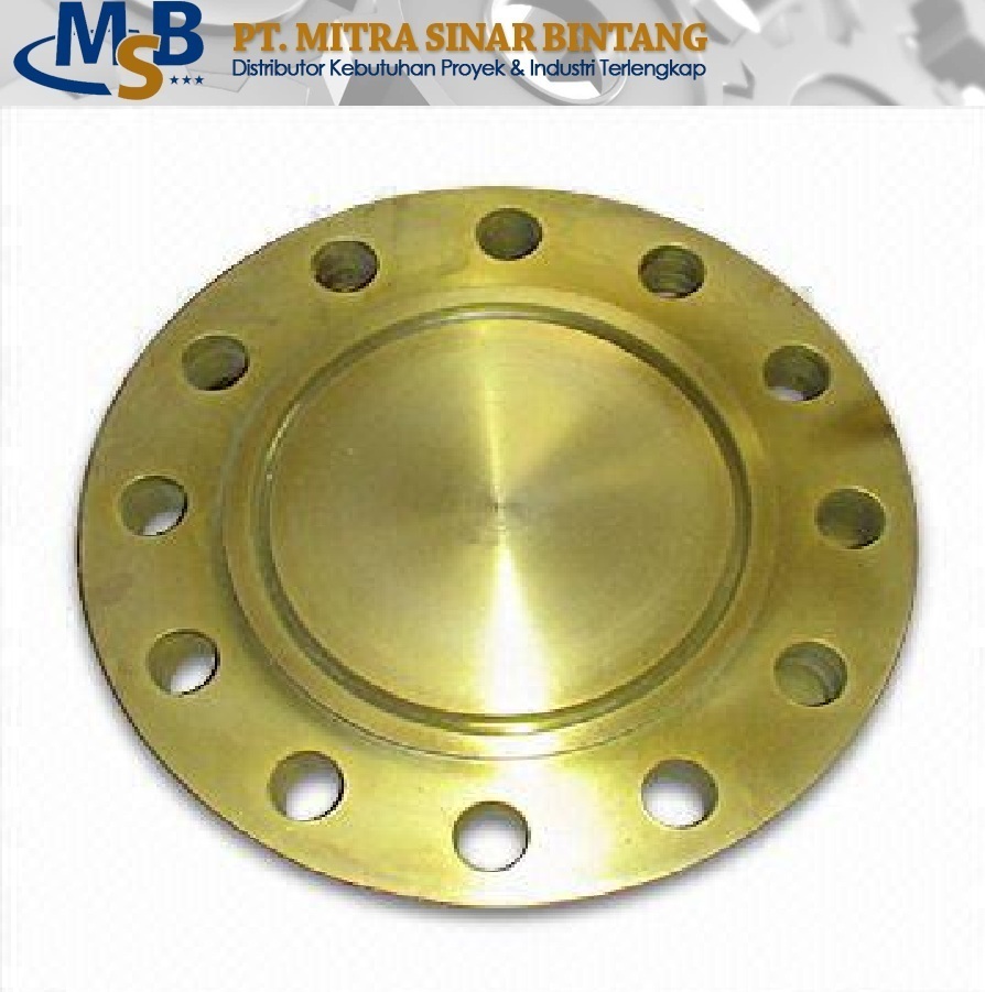 Blind Flange Blind Flange Class 900 RTJ Cs ASTM A105 PT Mitra 